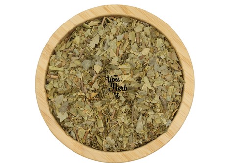 Boldo tisana con foglie secche - tisana,