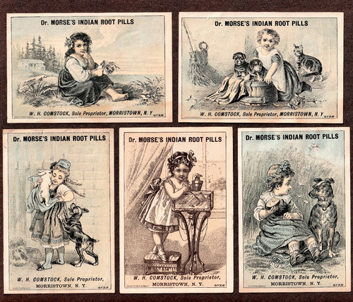 Morses indian root pills - root,