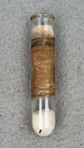Antica fiala farmacia in - antica,